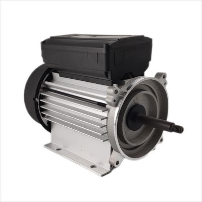 300-500W সাবমারসিবল মোটর সিঙ্গেল ফেজ ইলেকট্রিক 1hp 3000rpm সার্কুলেটিং পাম্পের জন্য