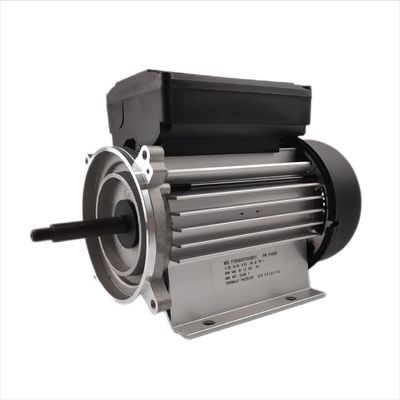 স্পা এবং বাথটাব পাম্পের জন্য 300-700W বৈদ্যুতিক জল পাম্প মোটর একক ফেজ 3000rpm