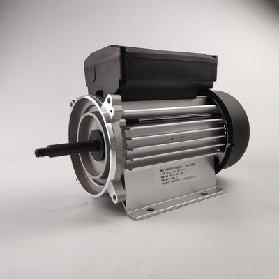 স্পা এবং বাথটাব পাম্পের জন্য 300-700W বৈদ্যুতিক জল পাম্প মোটর একক ফেজ 3000rpm